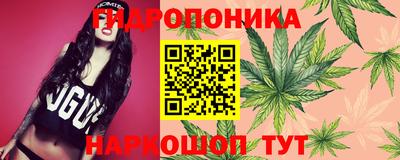 стаф Изобильный