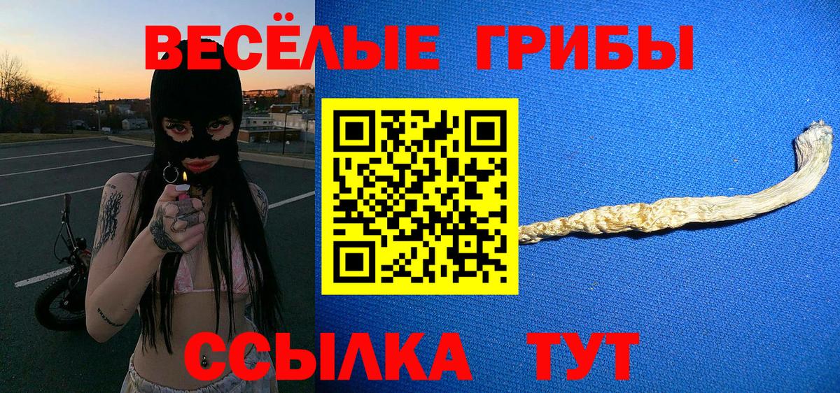 Галлюциногенные грибы мицелий Отрадный