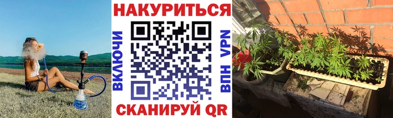 Каннабис Amnesia  что такое наркотик  Отрадный 